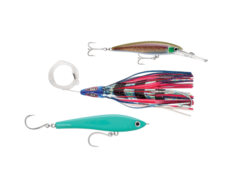 Shop Fishing Hard And Soft Baits