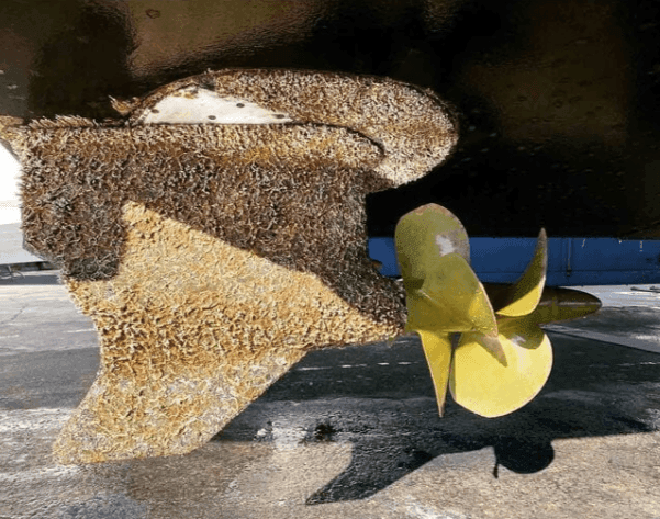 Suncoast Marine and Auto offers PROPSPEED Small Kit Foul-Release Coating (PSSKIT)