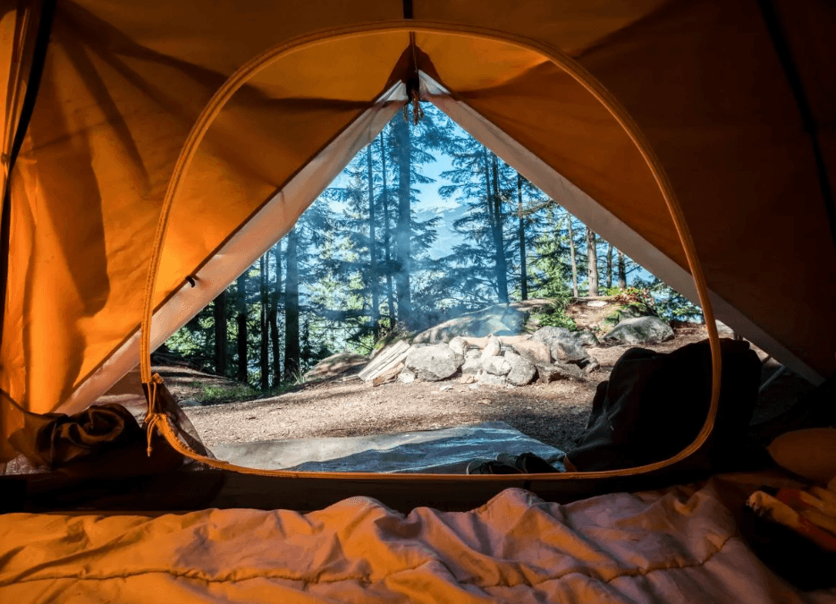 The Ultimate Guide to Your Family Camping Trip with the Kids - Suncoast Marine & Auto Supply 