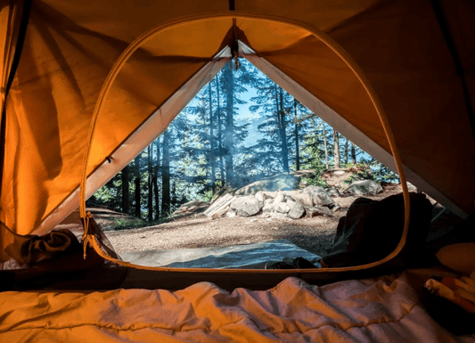 The Ultimate Guide to Your Family Camping Trip with the Kids - Suncoast Marine & Auto Supply 