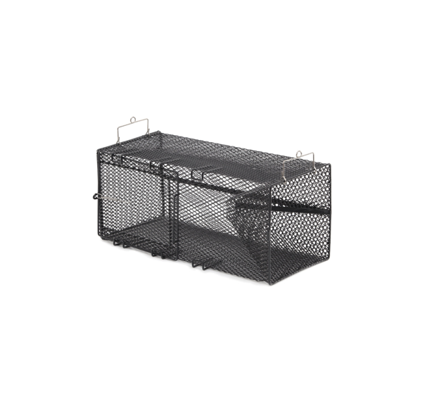 Top hunting & fishing accessories including fillet & skinning knives, fish traps, flood lights, pliers and grippers from Rapala, Frabill, Attwood & more.