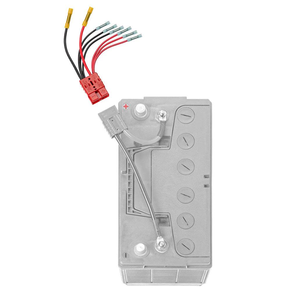 Connect-Ease Multi 4 Lead Accessory f/Main Battery [RCE12VB4] - Suncoast Marine & Auto Supply 