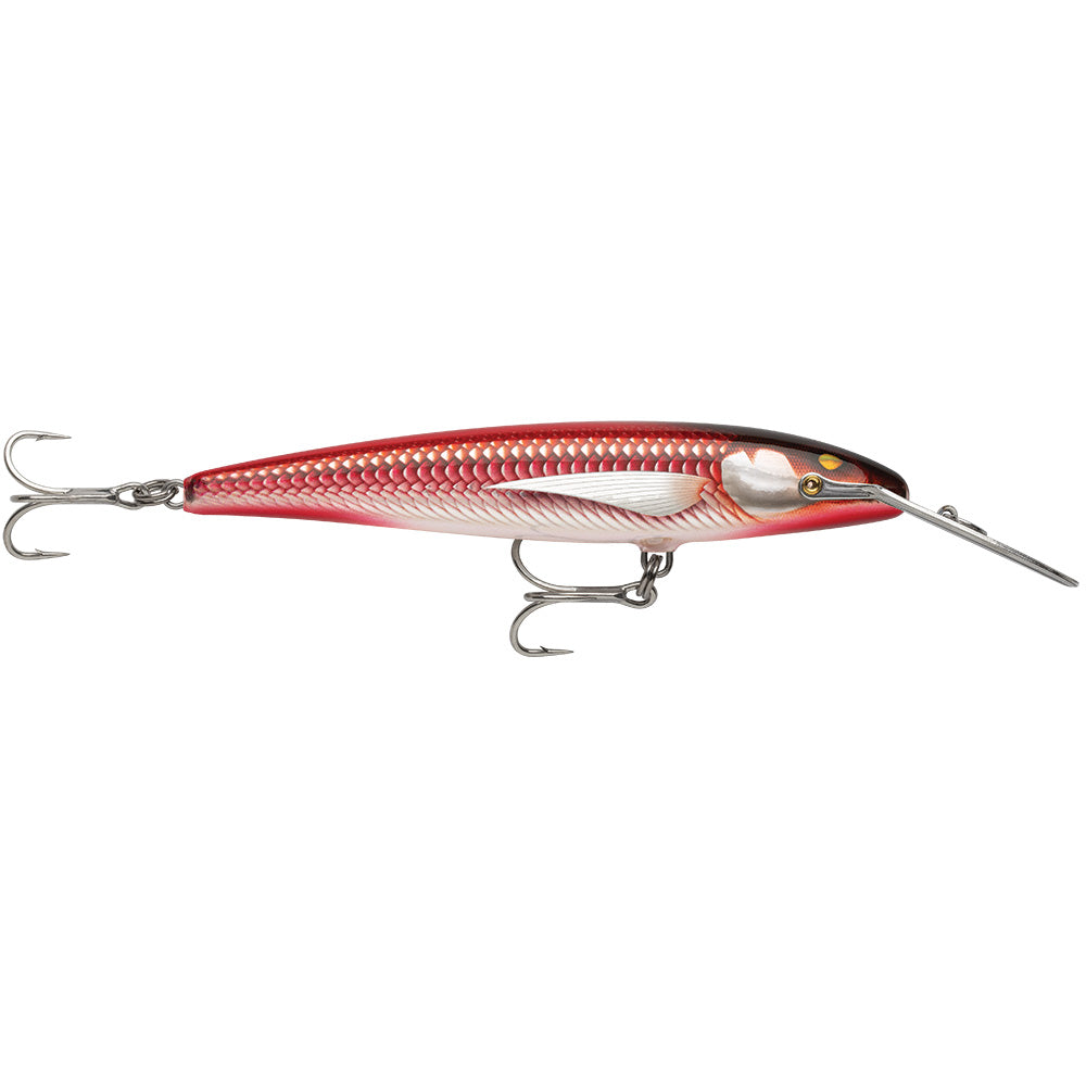 Suncoast Marine and Auto offers Rapala CountDown Magnum Elite 145 - 5-3/4" - Armored Real Red Bait [CDMAGE145AMRRB]