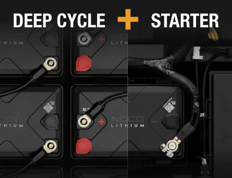 Suncoast Marine Supply offers NOCO NLX24 Dual-Purpose Lithium-Ion LiFePO4 Battery