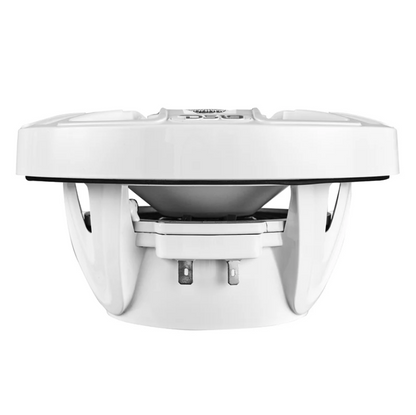 Suncoast Marine and Auto offers DS18 8" 2-Way Coaxial Marine Speakers w/Digital LED Lights Bullet Tweeter - White - 175W, 4-Ohm [NXL-IQ8/WH]