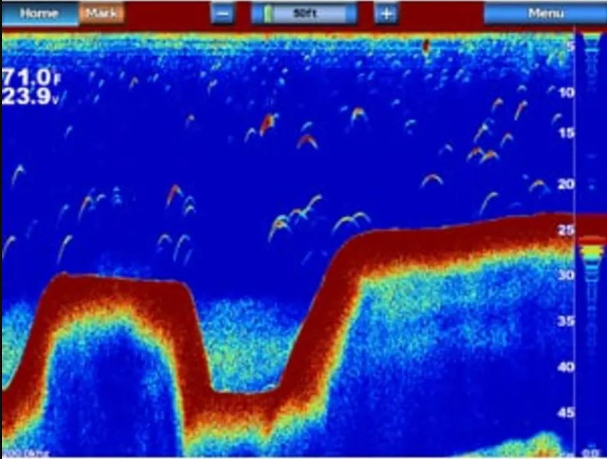 Suncoast Marine Supply offers Garmin GSD 24 Digital Black Box Network Sounder