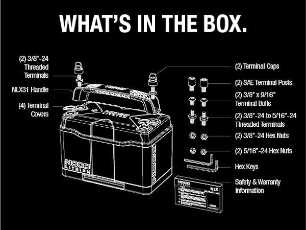 Suncoast Marine and Auto offers NOCO 12V 120Ah 12V Lithium-Ion LiFePO4 Dual-Purpose Battery NLX31