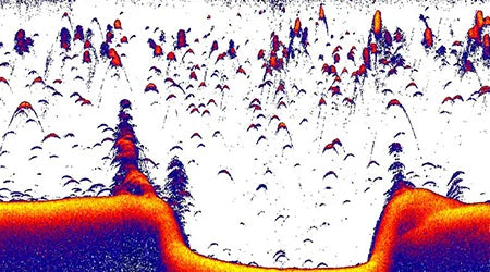 Suncoast Marine Supply offers Lowrance Active Imaging HD 3-in-1 High/Wide FishReveal Sonar Transducer