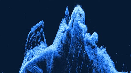 Lowrance Active Imaging HD 3-in-1 FishReveal High/Wide Transducer