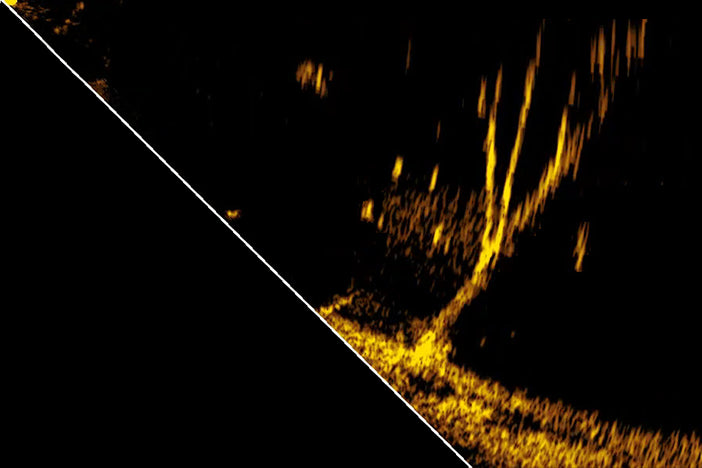 eagle eye forward scan