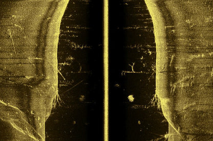 sidescan image